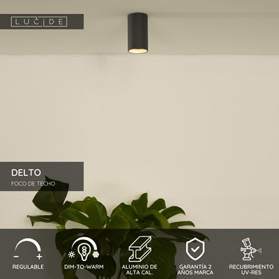 Lucide DELTO - Foco de techo - Ø 5,5 cm - LED Dim to warm - GU10 - 1x5W 2200K/3000K - Gris